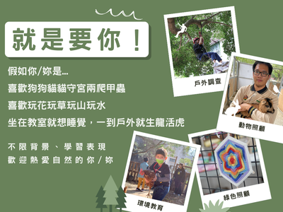 為什麼生態系是最酷的選擇?By系主任圖片