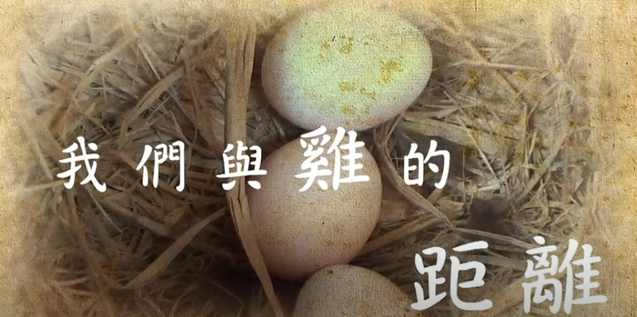 我們與雞的距離